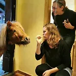 Kunz Apartamento *