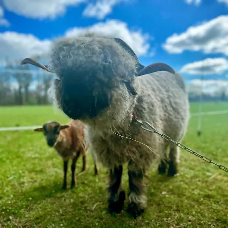 Kunz Burg (Spreewald)