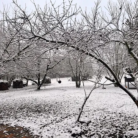 Kunz * Burg (Spreewald)