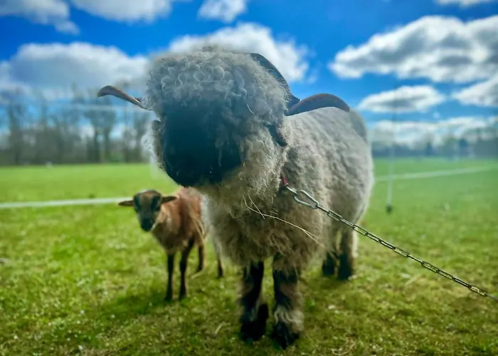 Kunz Burg (Spreewald)