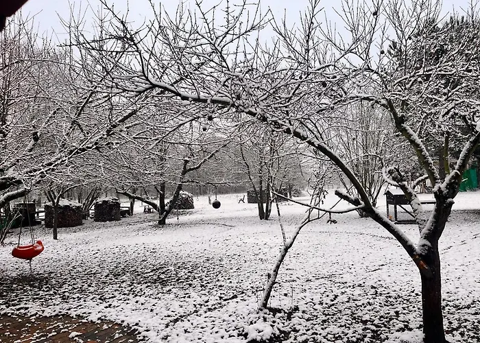 Kunz * Burg (Spreewald)